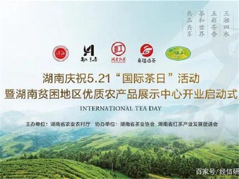 产茶国谋定农业领域国际性节日 对话国际农民丰收节贸易会